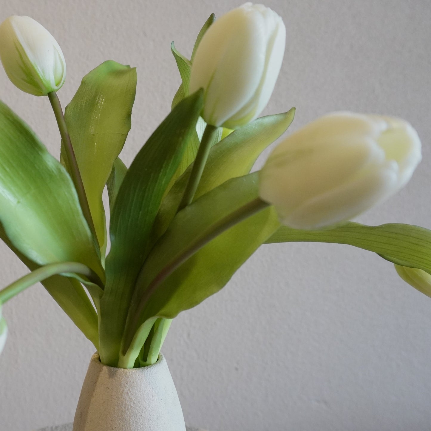 White tulips in a white vase against a plain background