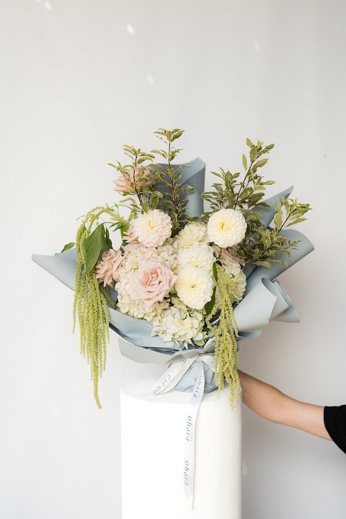 Bouquet of flowers held by a person against a white background - white and light pink flowers in blue wrapping paper