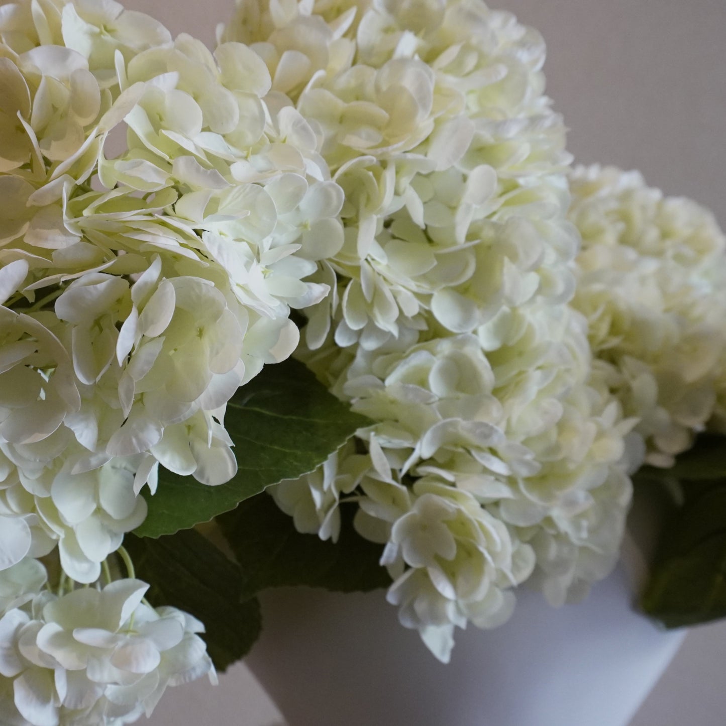 Close-up of a bouquet of white hydrangeas with a blurred background