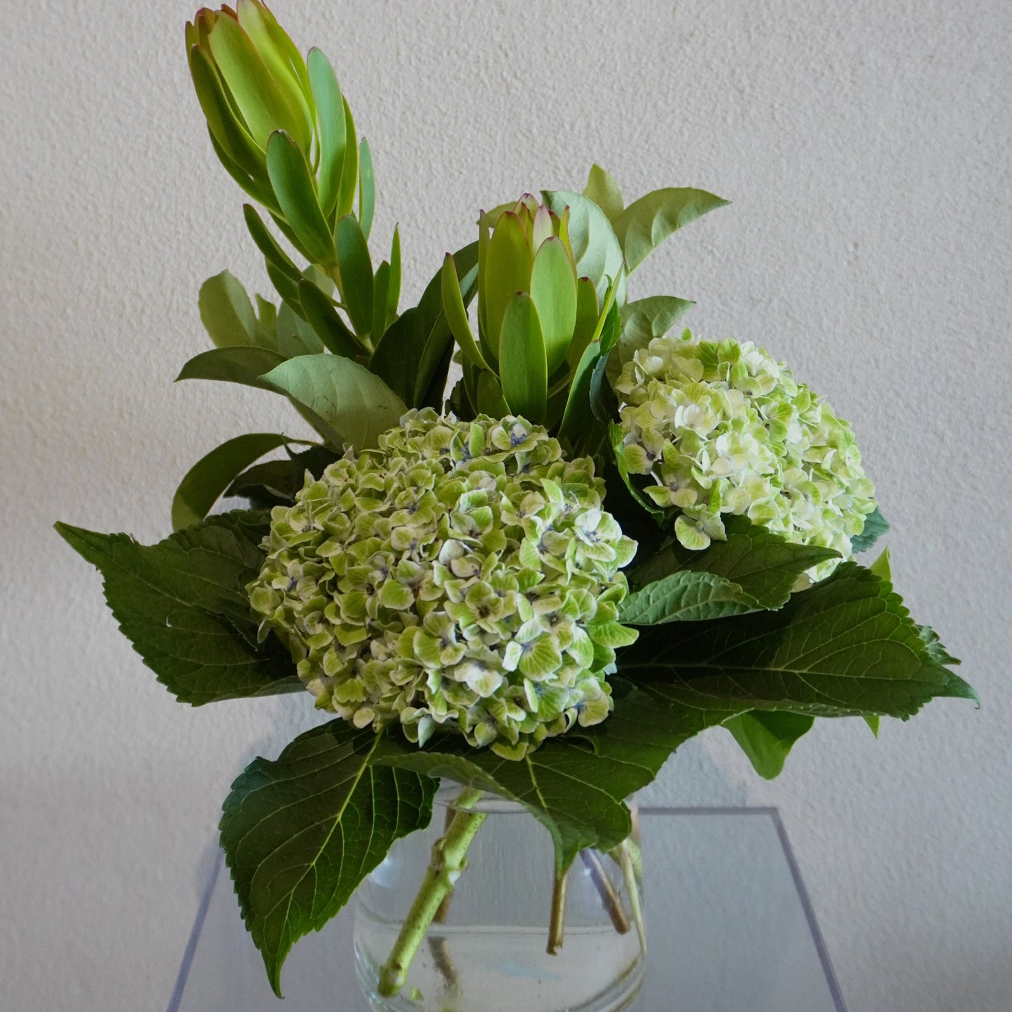 Bouquet of green hydrangeas in a clear vase on a reflective surface with a neutral background